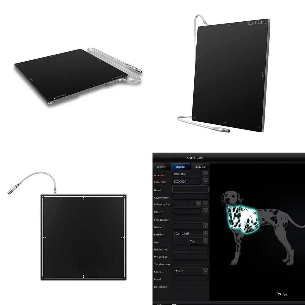 Promoção Quente: Detector de P - X Tech Accessories avaliação e preço